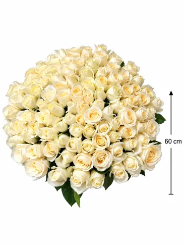 Bouquet of 101 white roses "Betty"