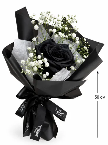 Bouquet of black rose and gypsophila