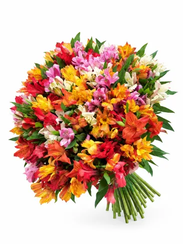 Buchet de alstroemerii multicolore „Dana”