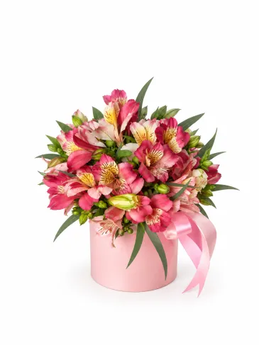 Cutie cu alstroemerii „Anna”