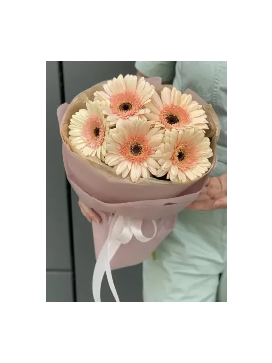 Bouquet of cream gerberas "Asteria"