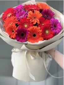 Mix de gerbera viu colorate "Euxena"