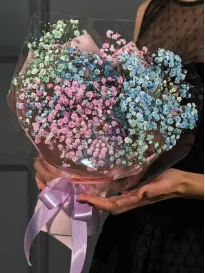 Bouquet of colored gypsophila