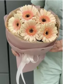 Bouquet of cream gerberas "Asteria"
